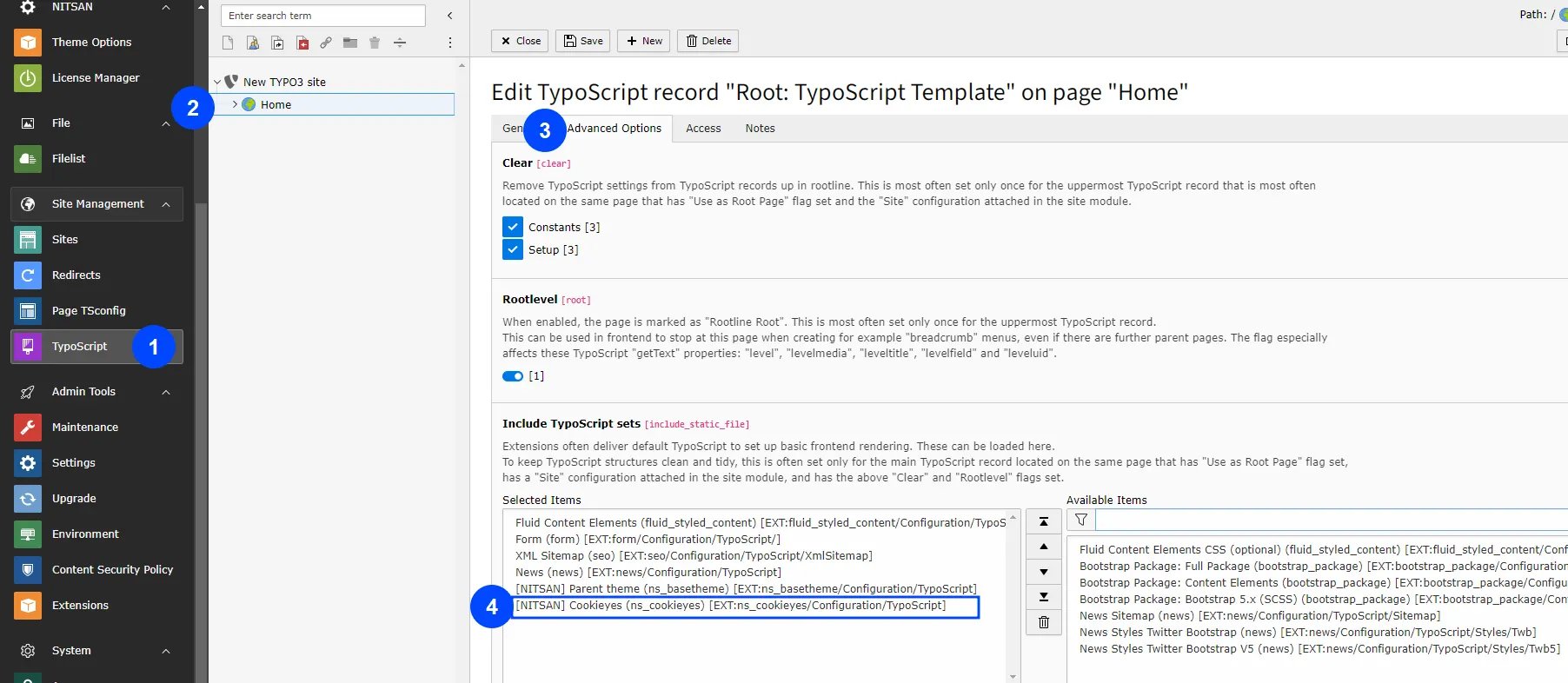 Activate Typoscript