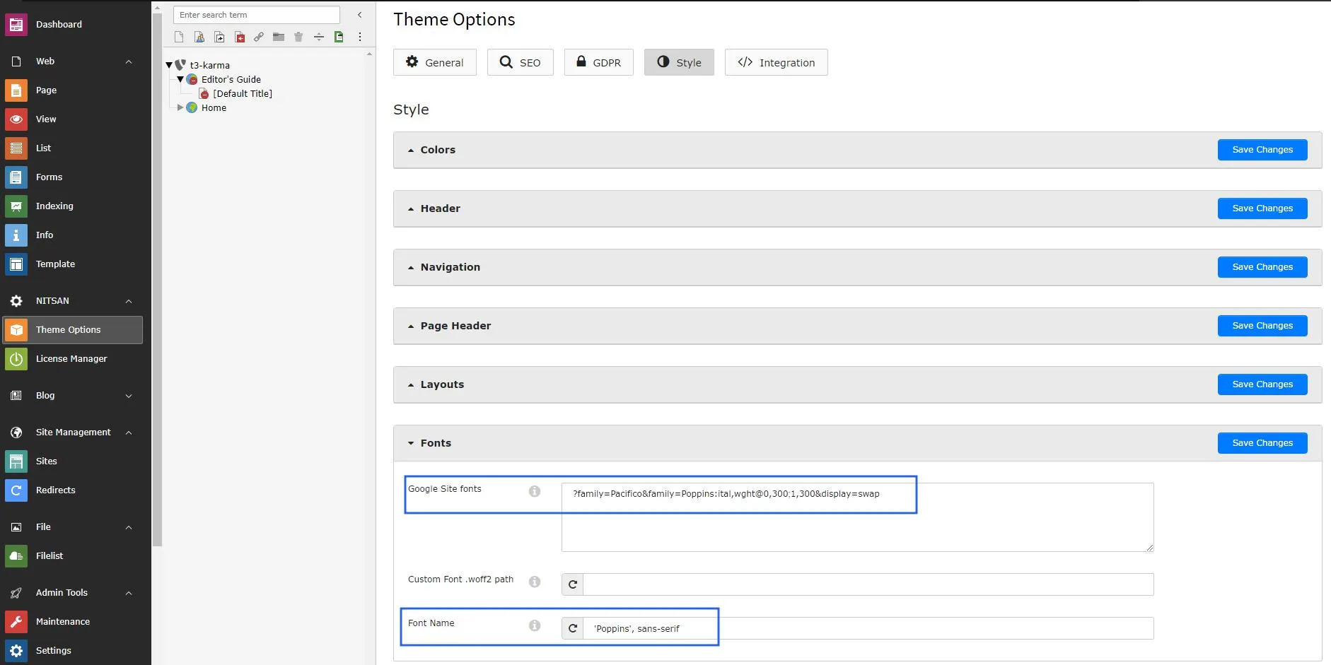 Google Fonts