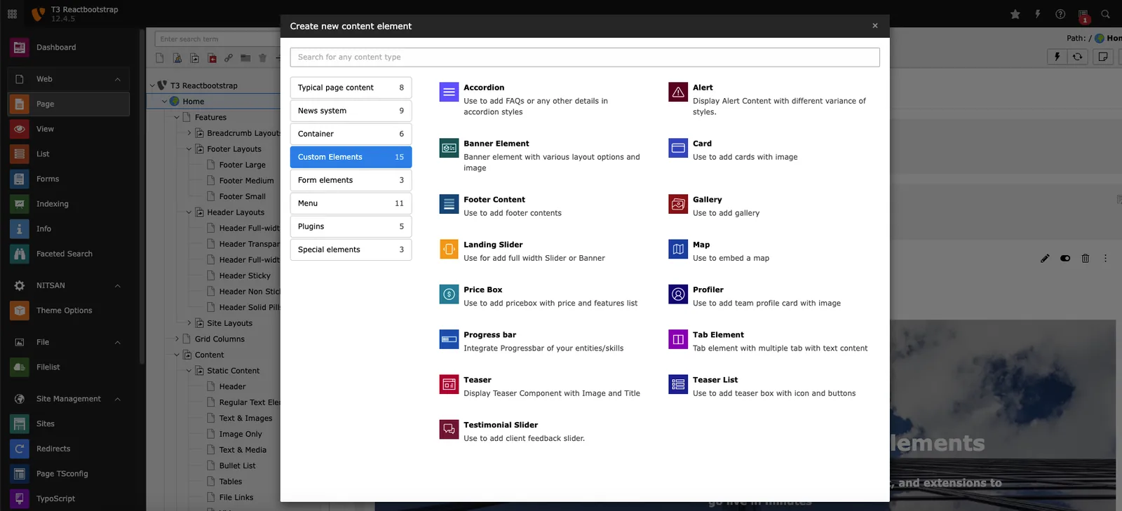 Custom Elements