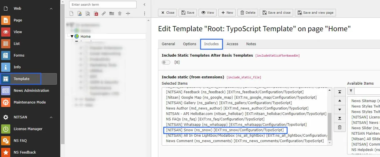 Activate Typoscript