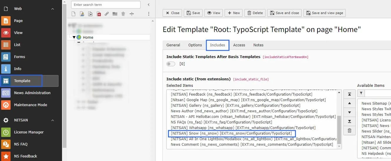 Activate Typoscript
