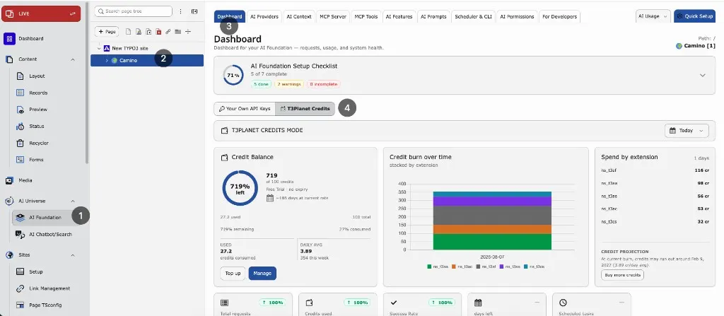 AI Foundation Dashboard in AI Credits mode with balance, credit burn chart, and spend by extension