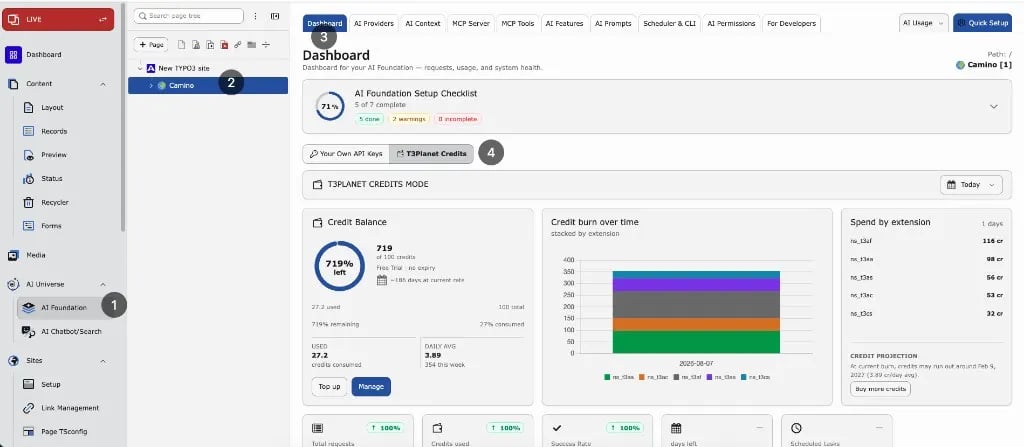 AI Foundation Dashboard in AI Credits mode with balance, credit burn chart, and spend by extension