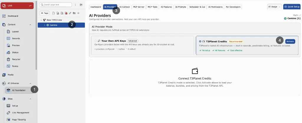 AI Providers with T3Planet Credits selected and Activate button