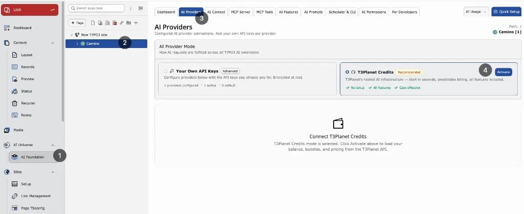 AI Providers with T3Planet Credits selected and Activate button