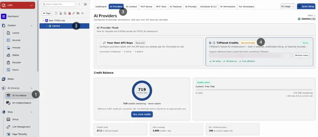 AI Providers with T3Planet Credits active and credit balance panel
