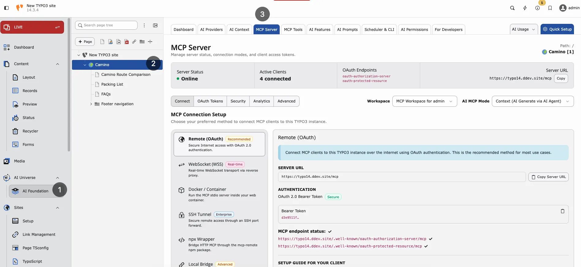 MCP Server status bar, connection methods, and Remote OAuth setup