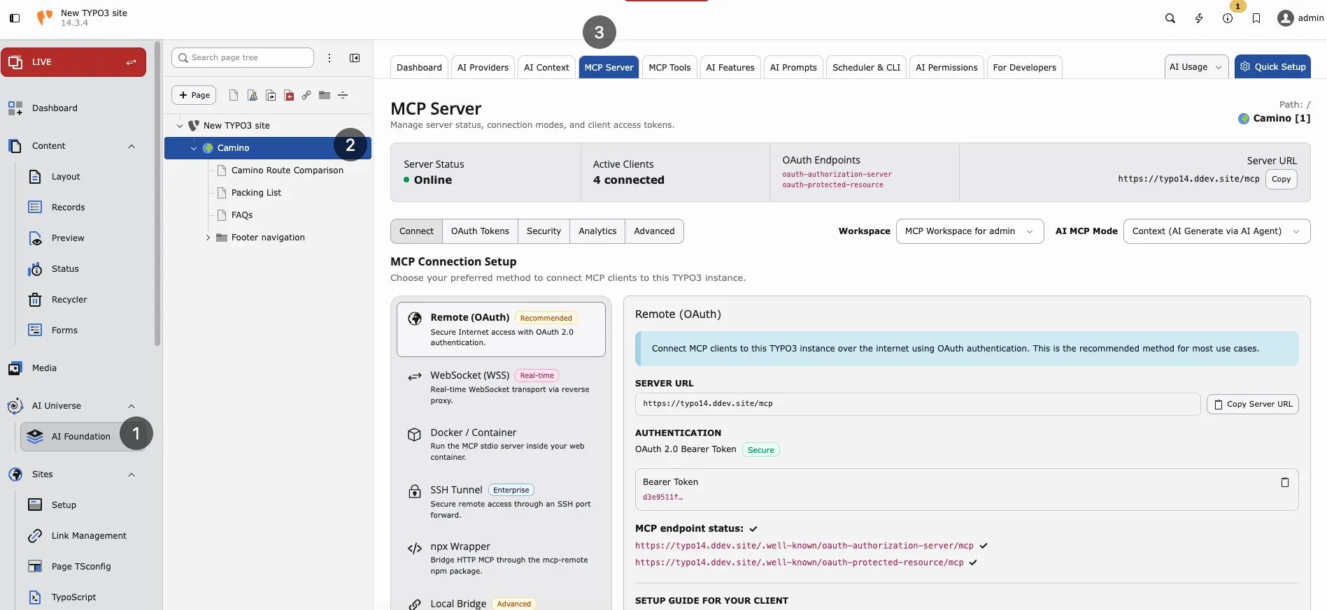 MCP Server status bar, connection methods, and Remote OAuth setup
