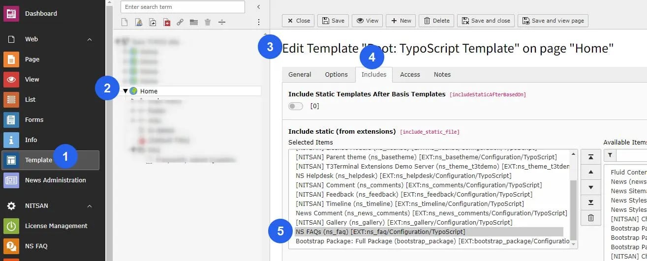 Activate Typoscript