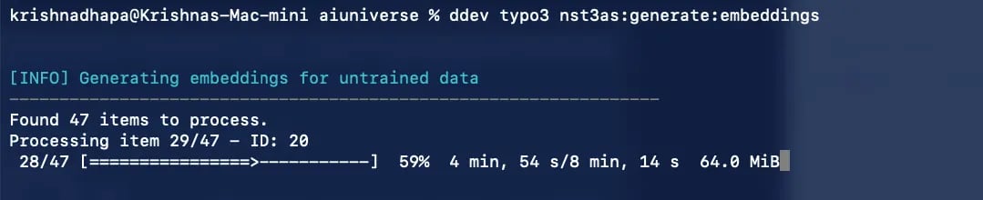 Embedding Generation CLI Command Output