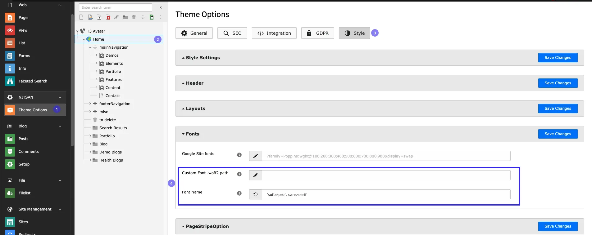 Custom Fonts