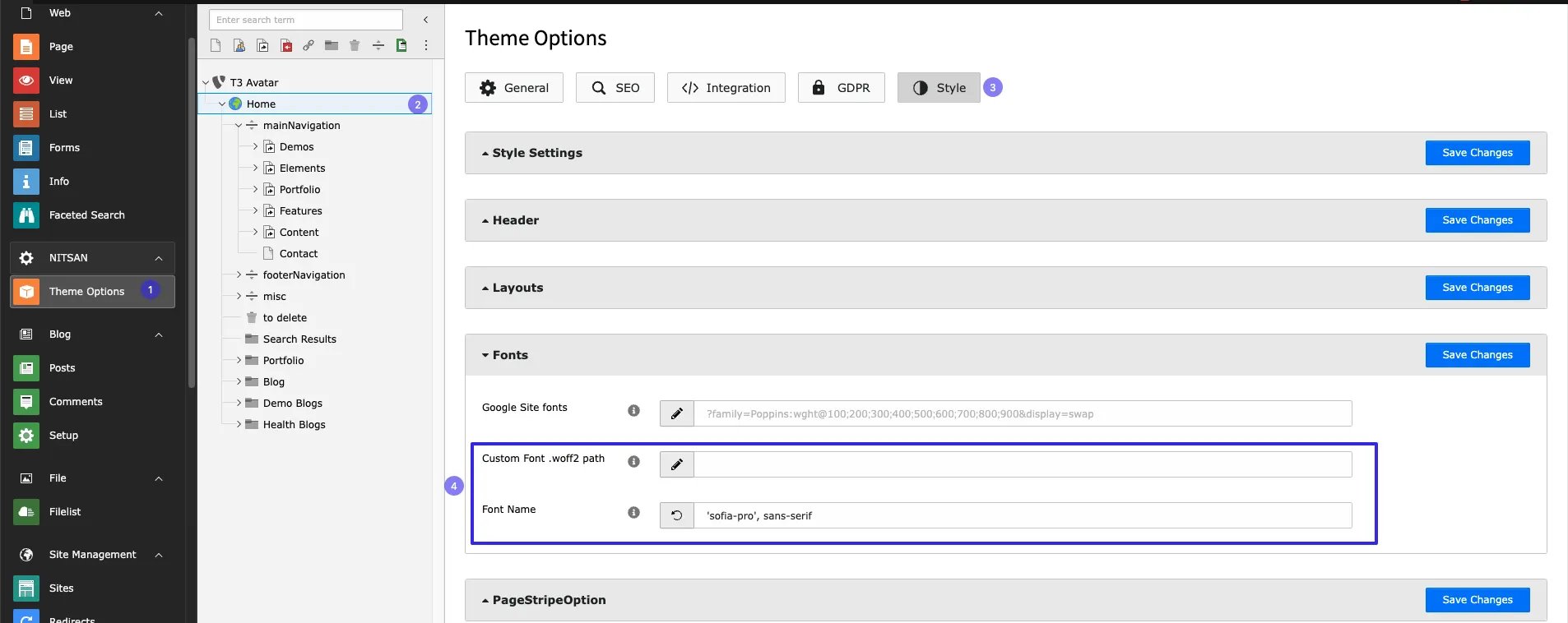 Custom Fonts