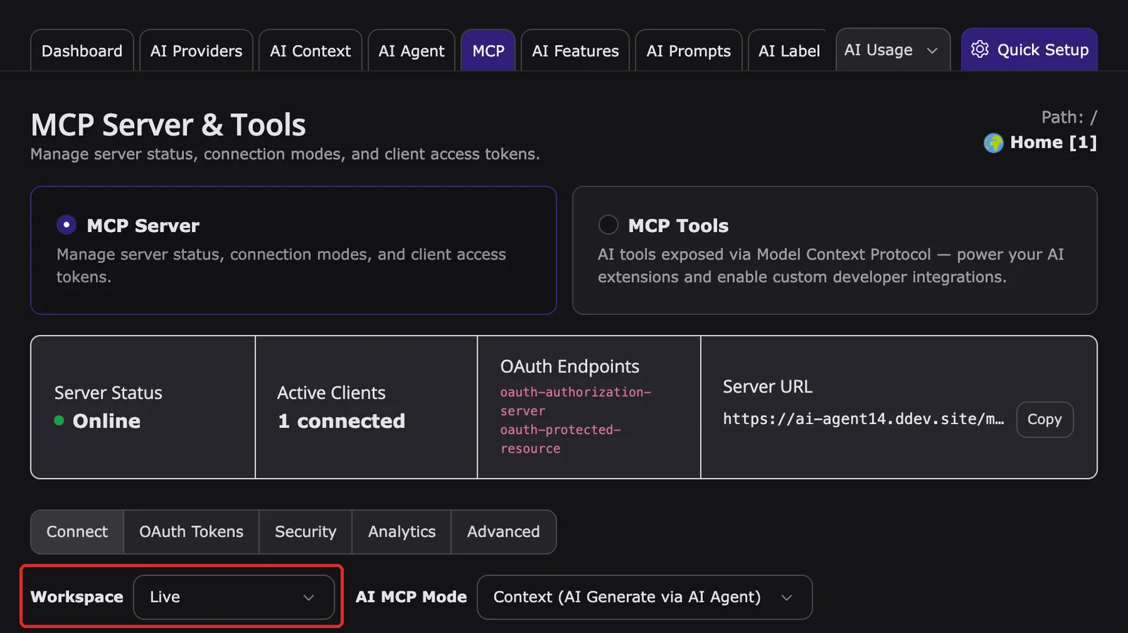 AI Foundation MCP Server, tab Connect, with the Workspace field highlighted