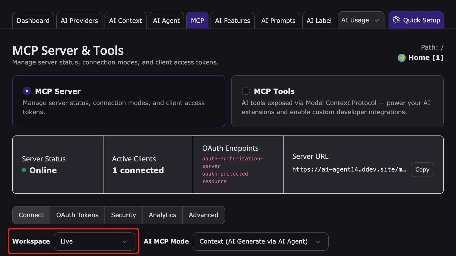 AI Foundation MCP Server, tab Connect, with the Workspace field highlighted
