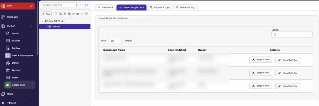 Google Docs module: Import Google Docs tab with the Import Now button next to each Doc