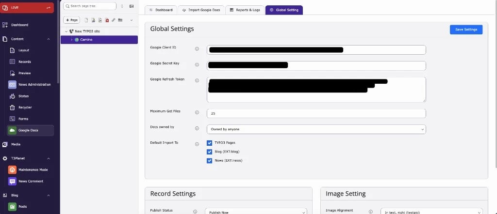 Google Docs module: Global Settings tab with Google account fields and import options