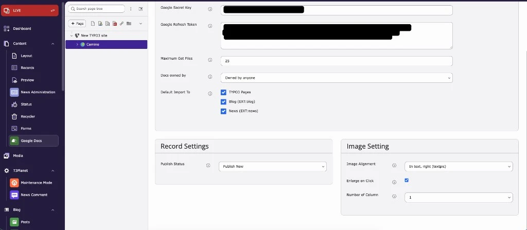 Google Docs module: Record Settings and Image Setting in the Global Settings tab