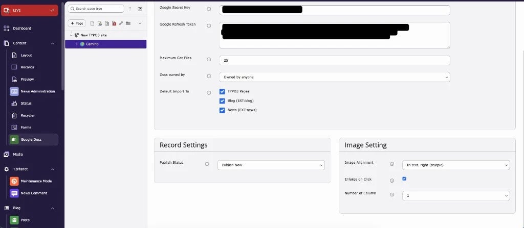 Google Docs module: Global Settings with record and image settings