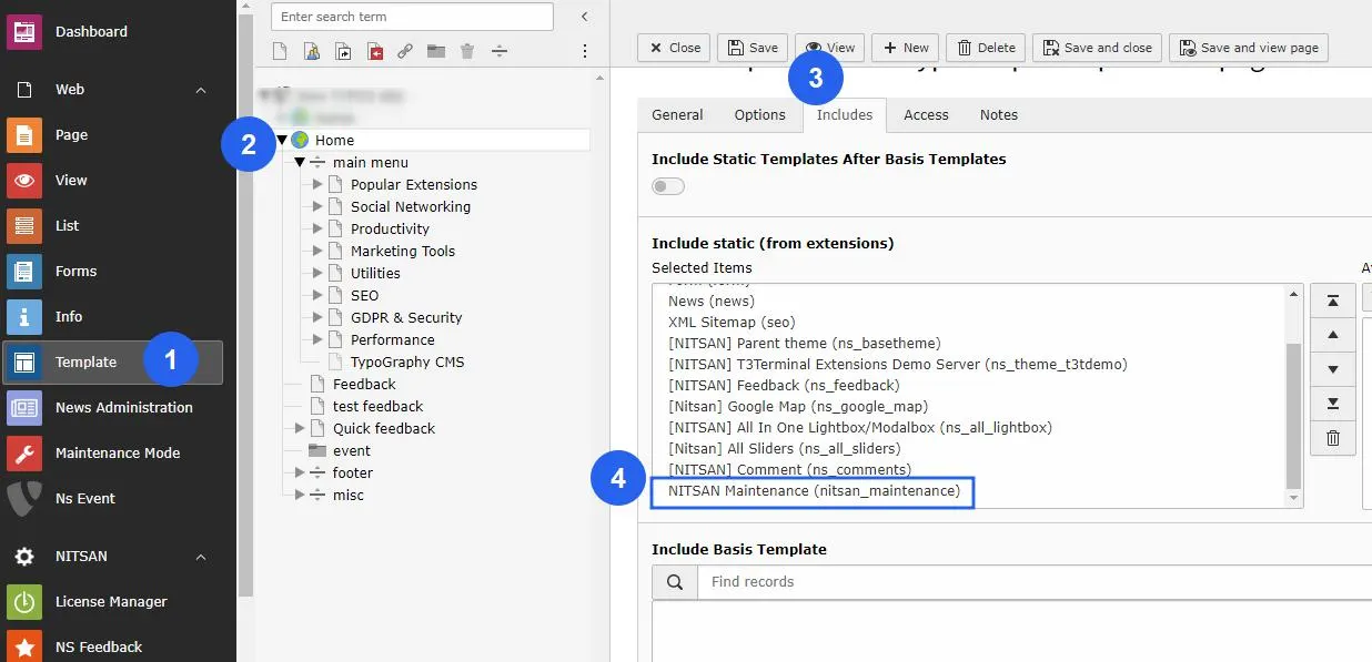 Activate Typoscript