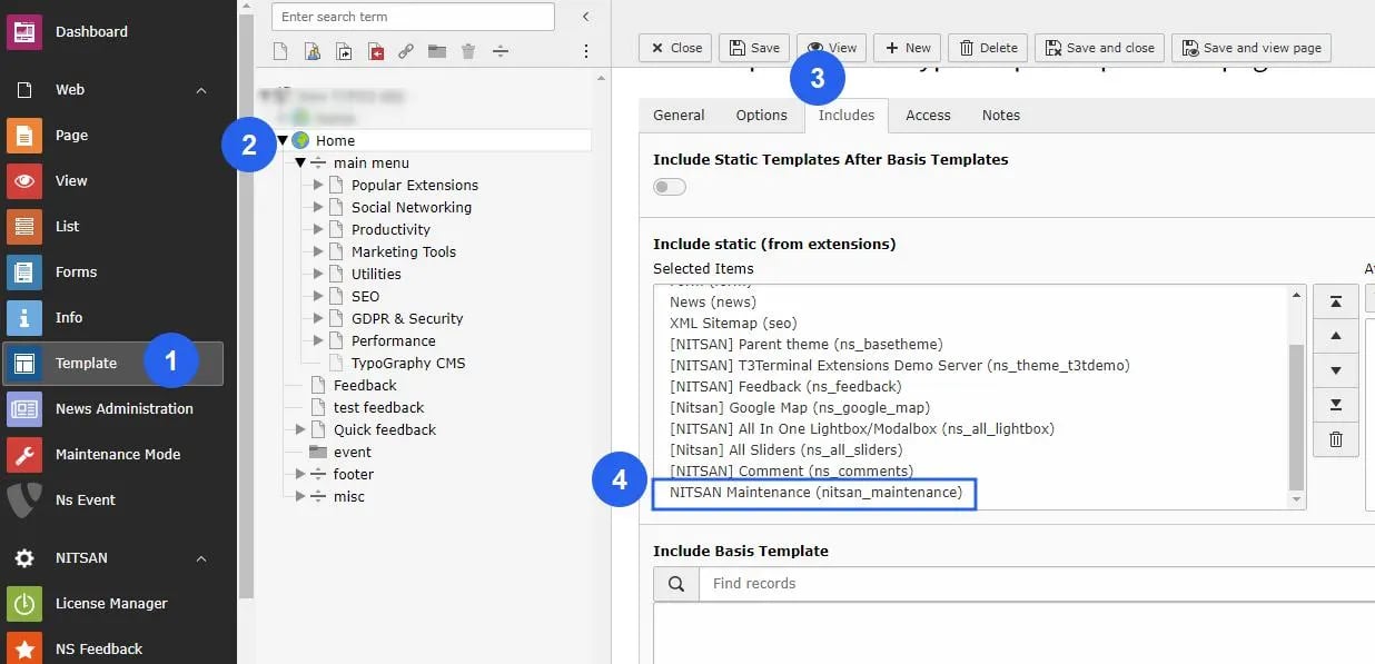 Activate Typoscript