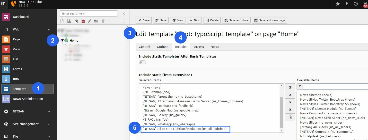 Activate Typoscript