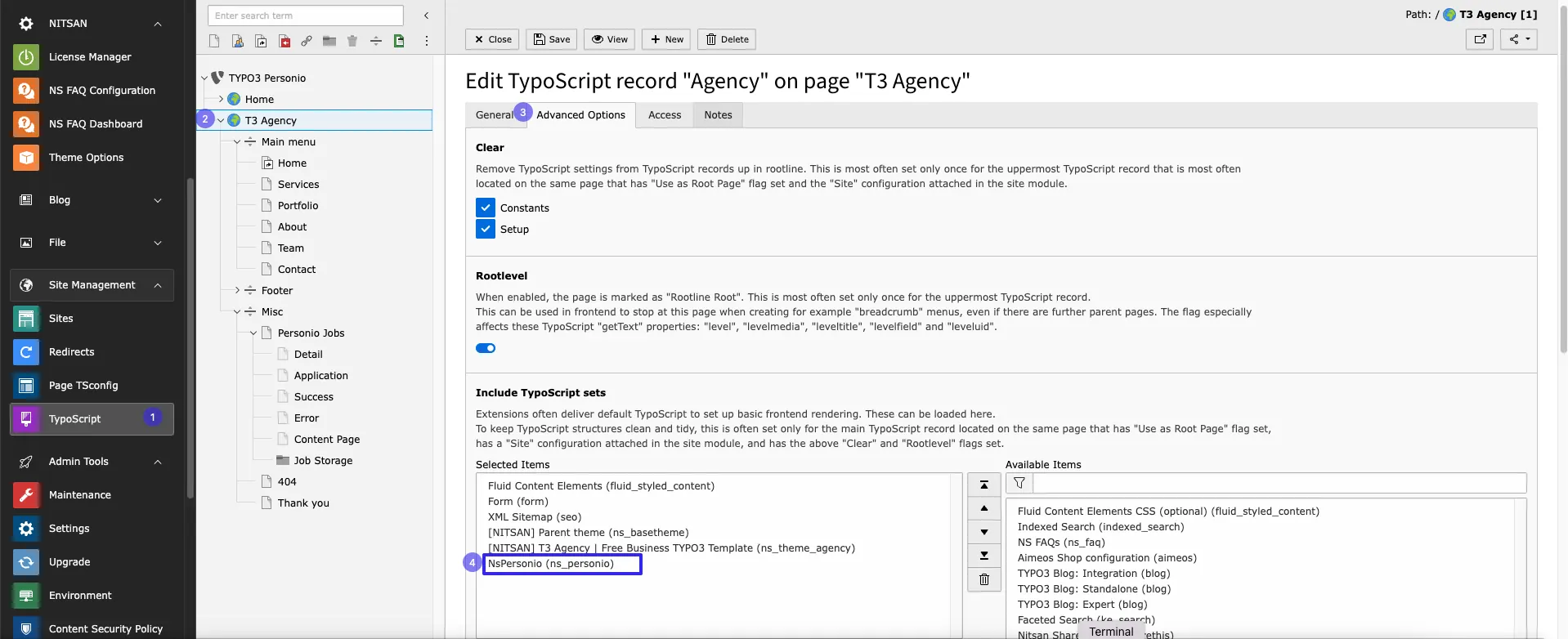 Activate Typoscript