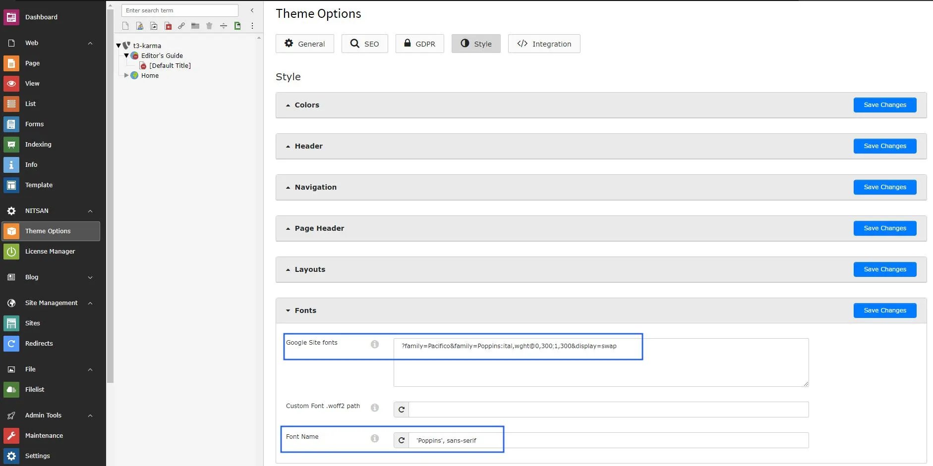 Google Fonts