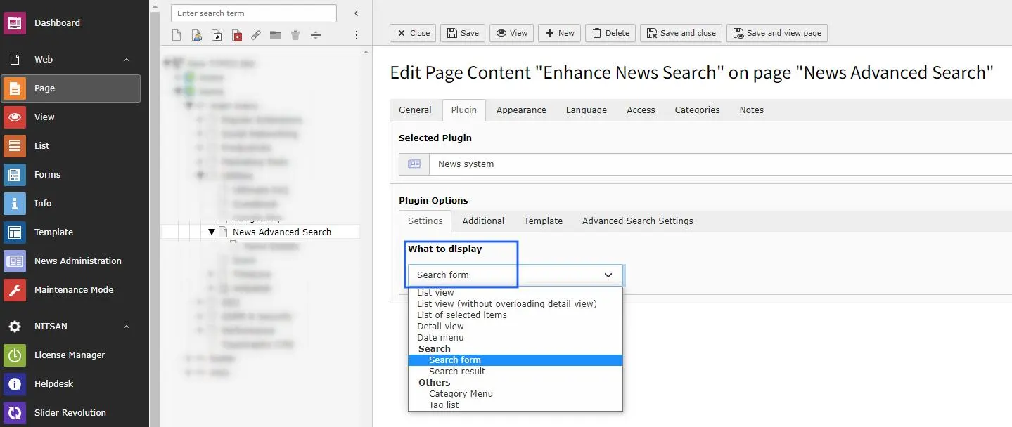 General settings of Advanced News Search plugin