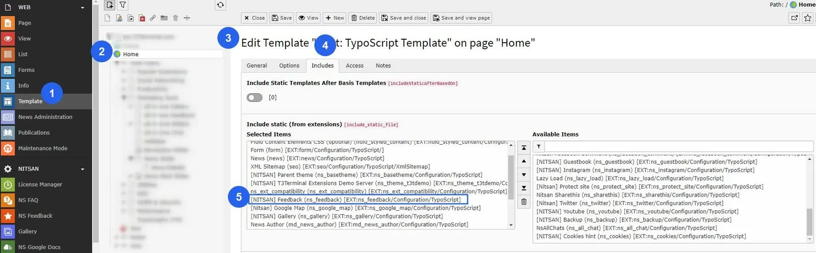 Activate Typoscript