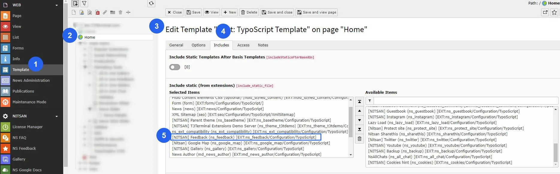 Activate Typoscript