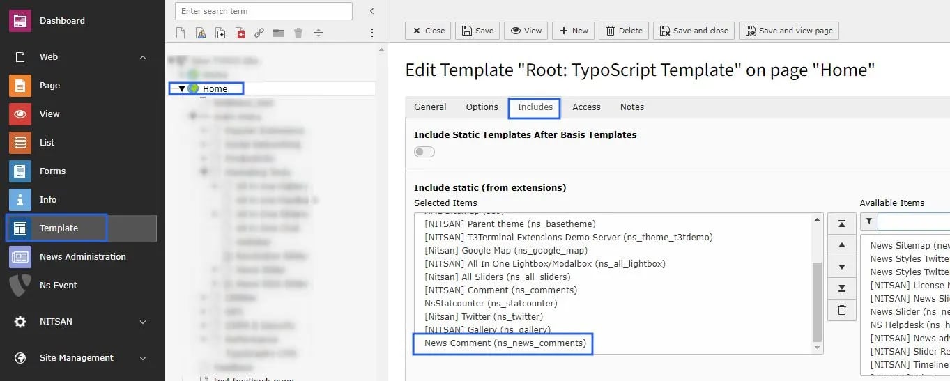 Activate Typoscript