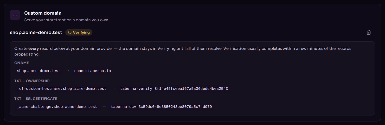 The Custom Domain card showing status Verifying and a table with the CNAME and TXT records to create