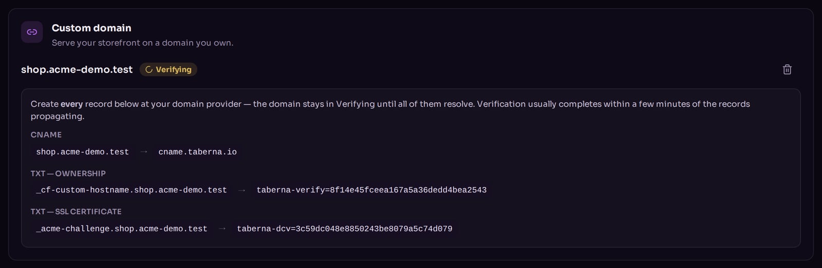 The Custom Domain card showing status Verifying and a table with the CNAME and TXT records to create