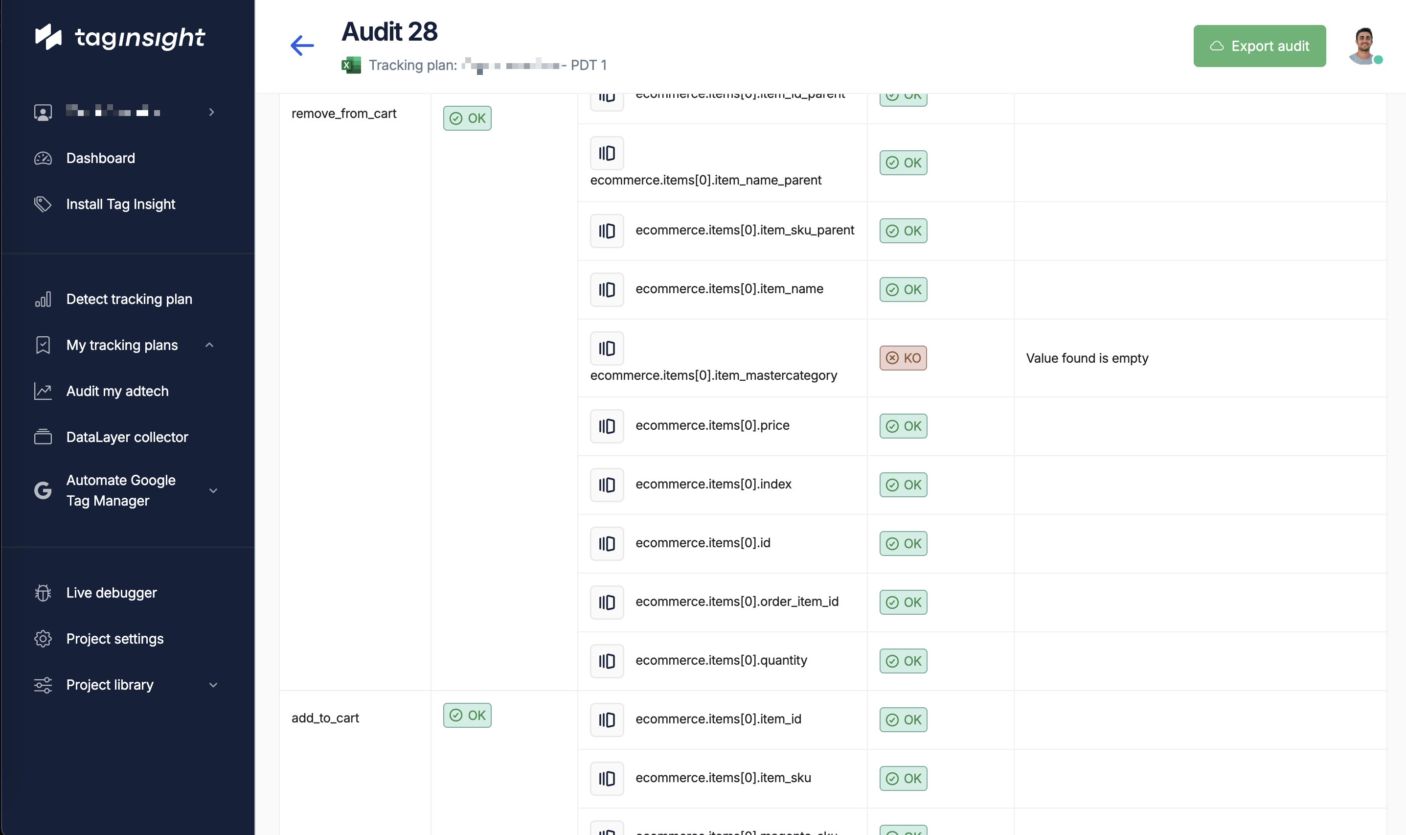 Tag Insight Audit Report