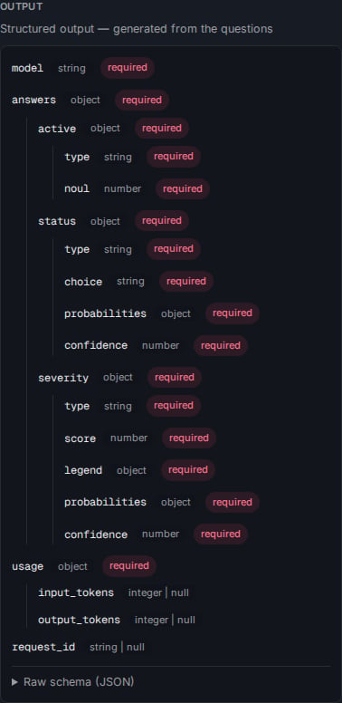 The Classifier card's Output tab showing the generated answer schema.