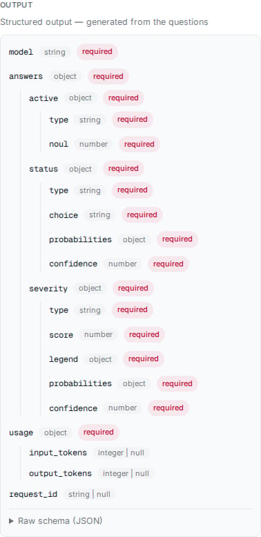The Classifier card's Output tab showing the generated answer schema.