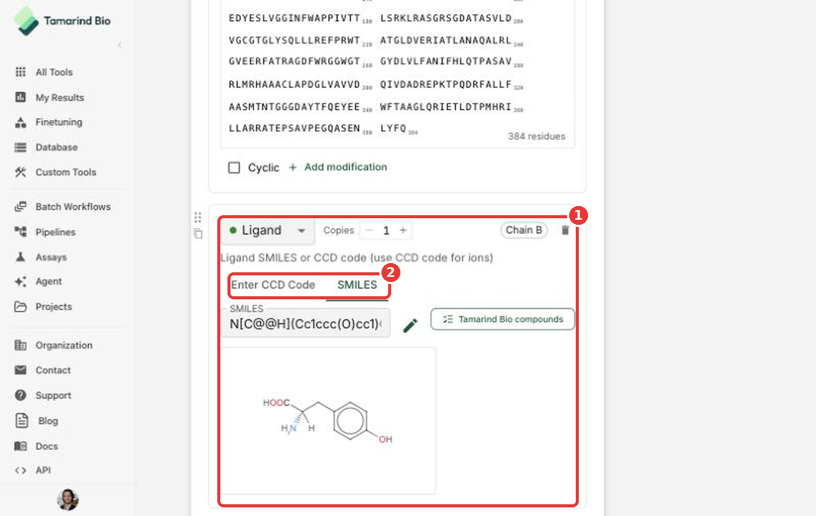Ligand chain