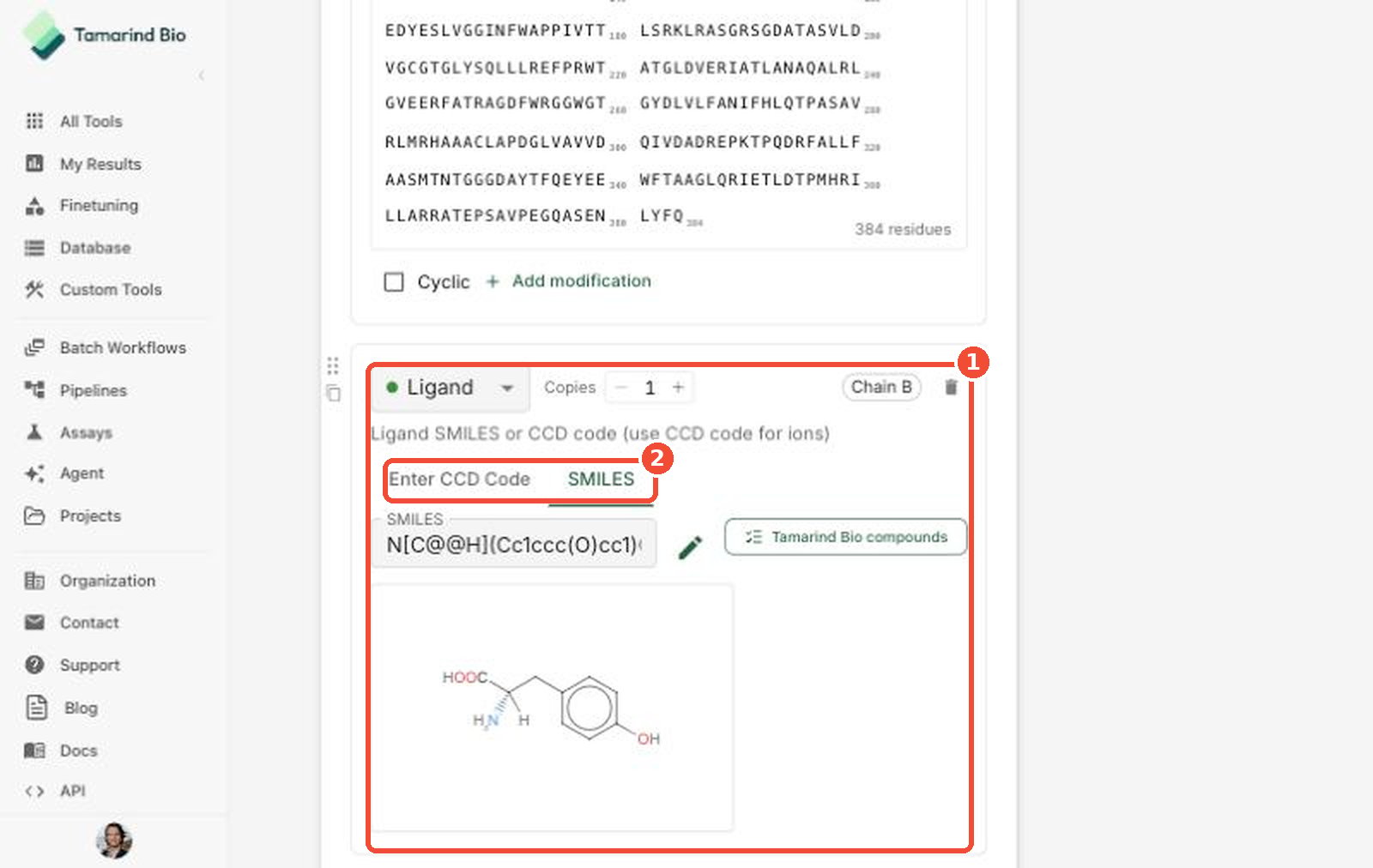 Ligand chain