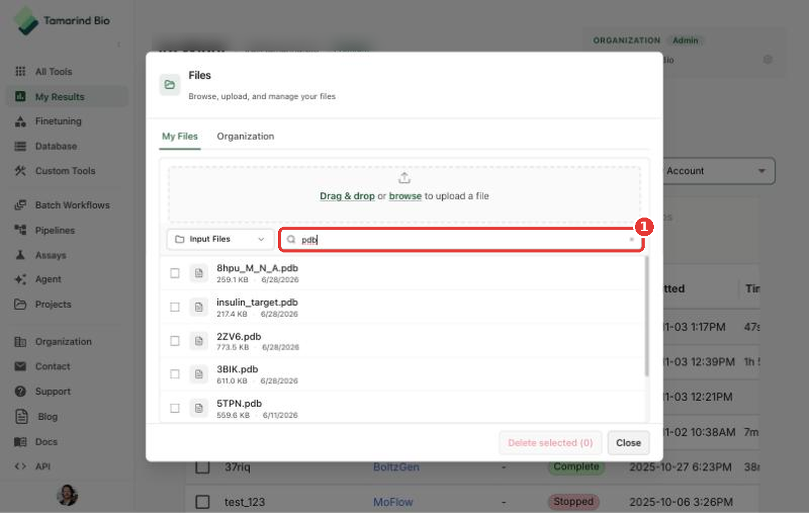 Search for files