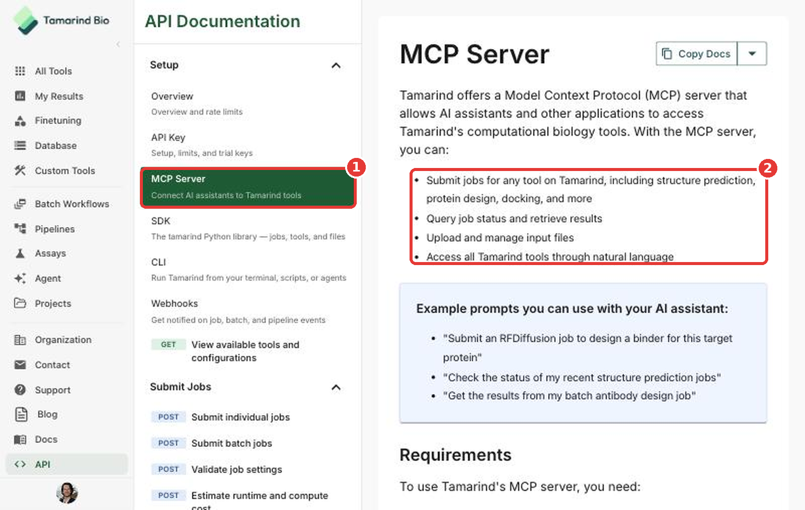 MCP Server page in the Tamarind app