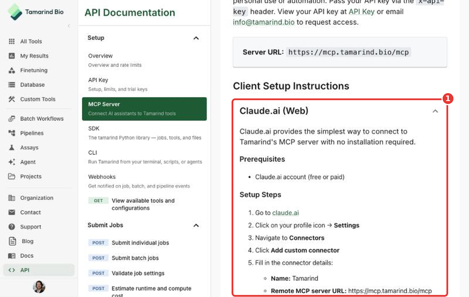 Claude.ai steps on the MCP Server page