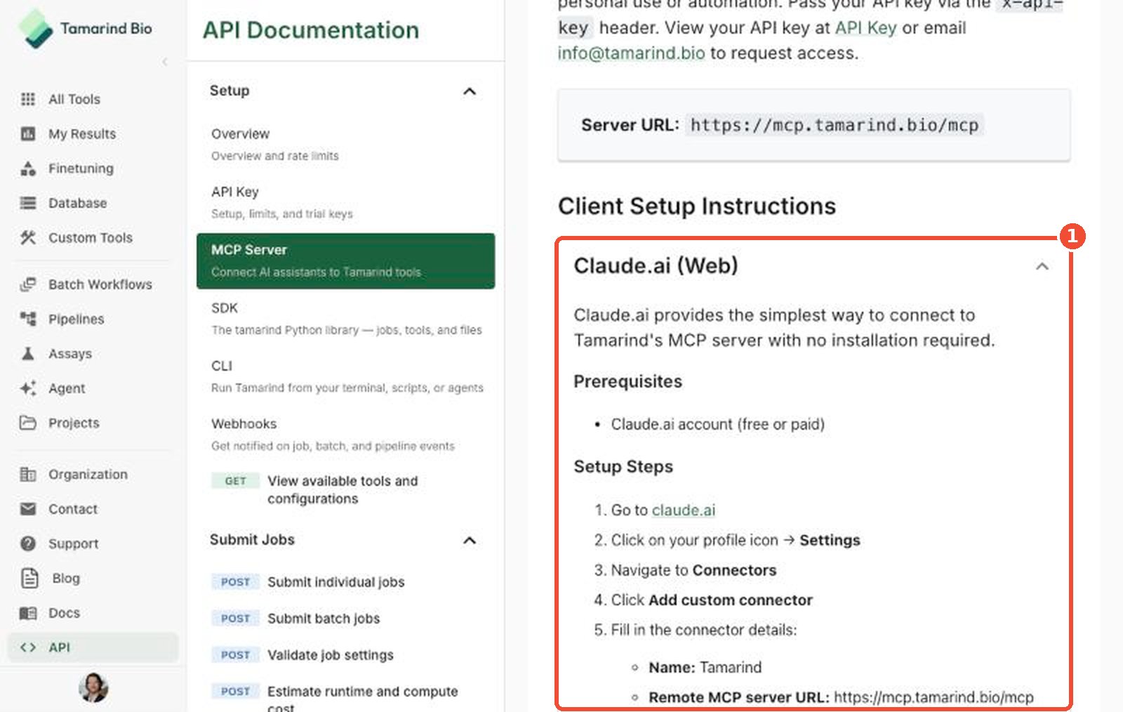 Claude.ai steps on the MCP Server page
