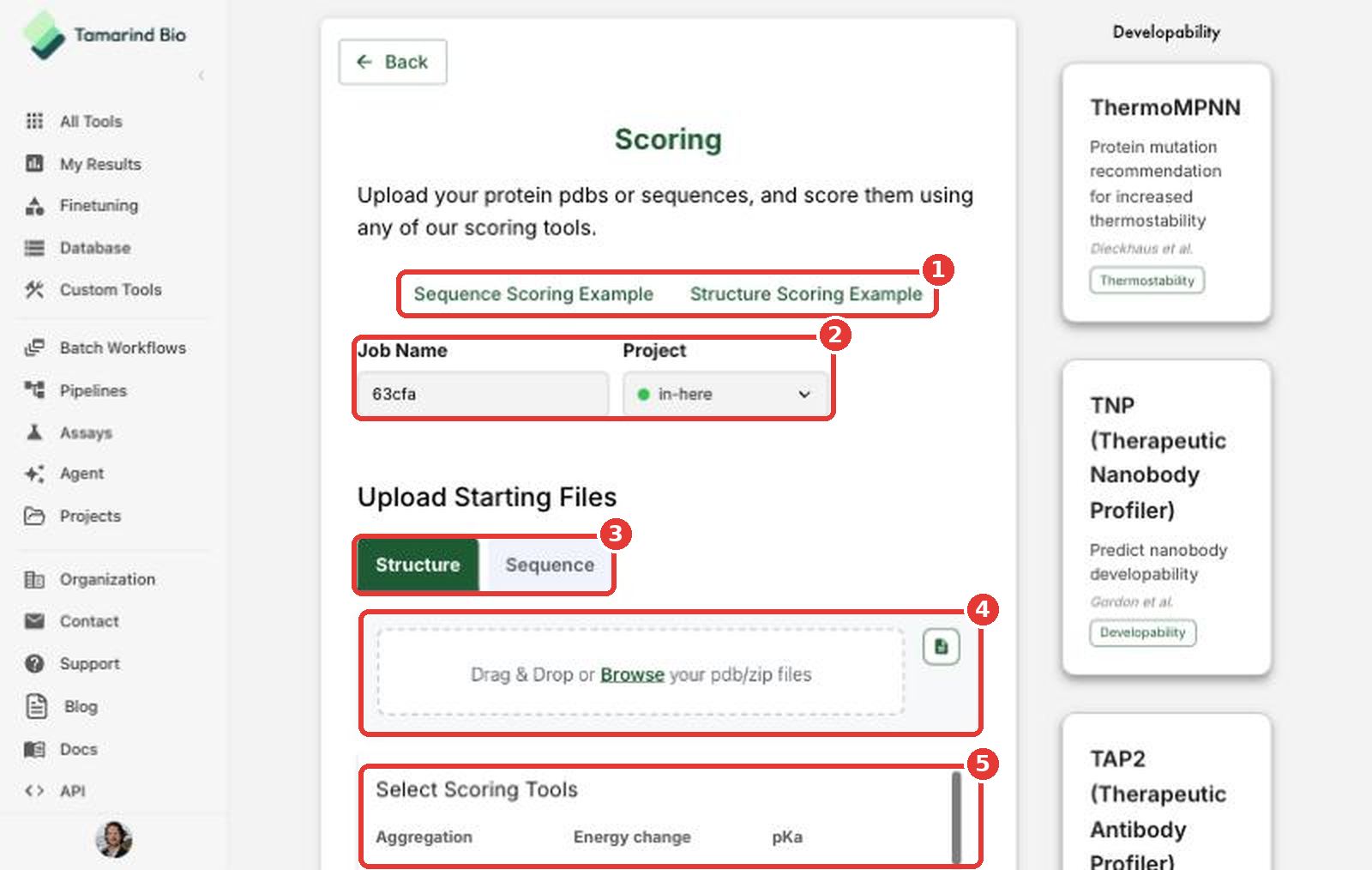 The Scoring page