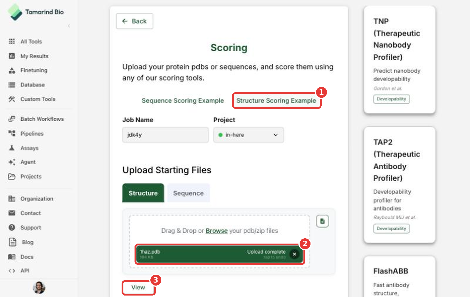 Structure scoring example