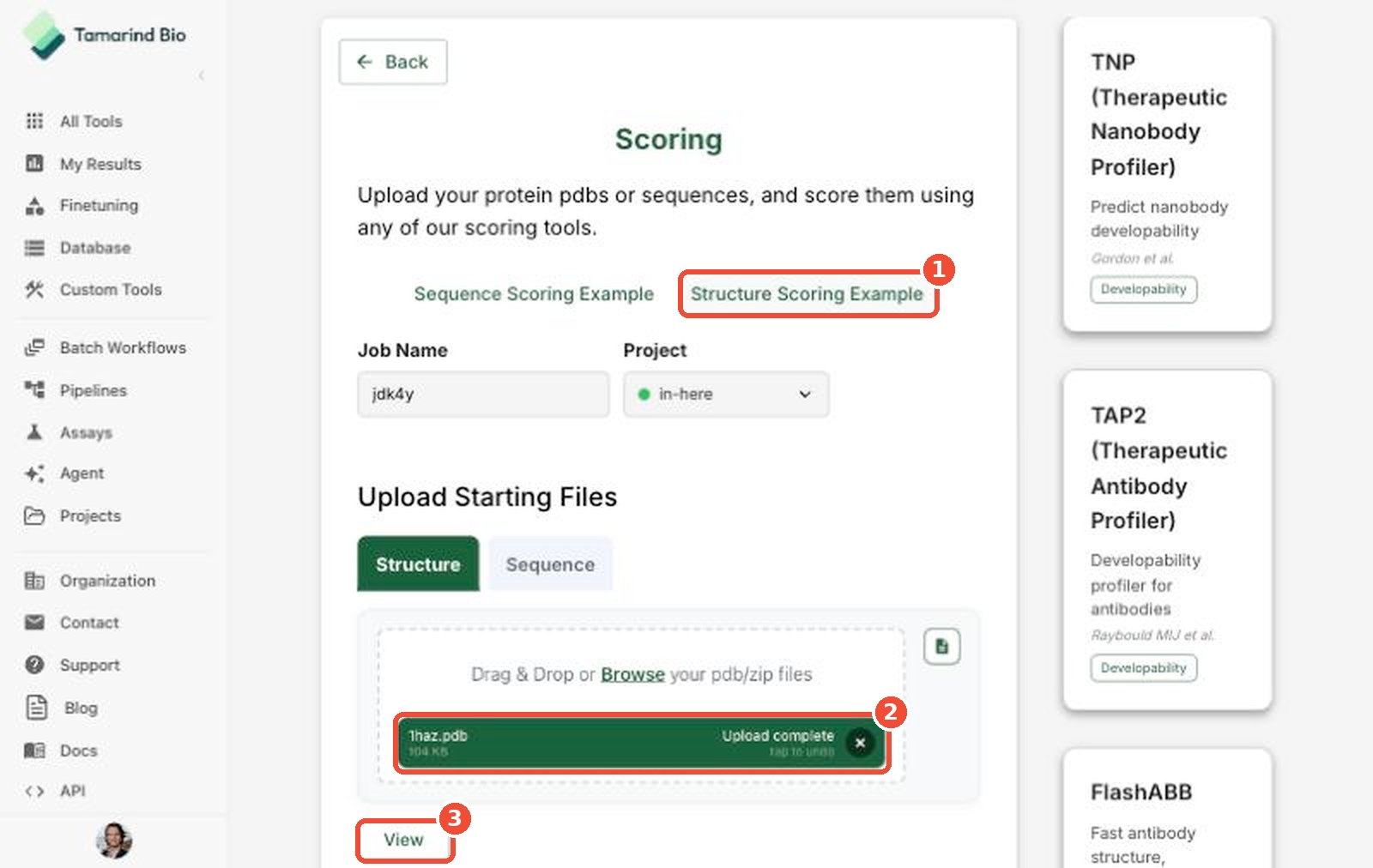 Structure scoring example