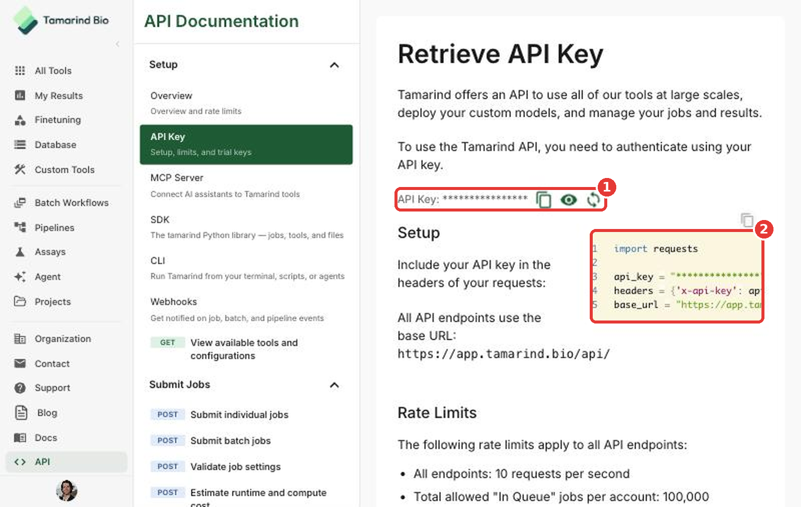 API Key page