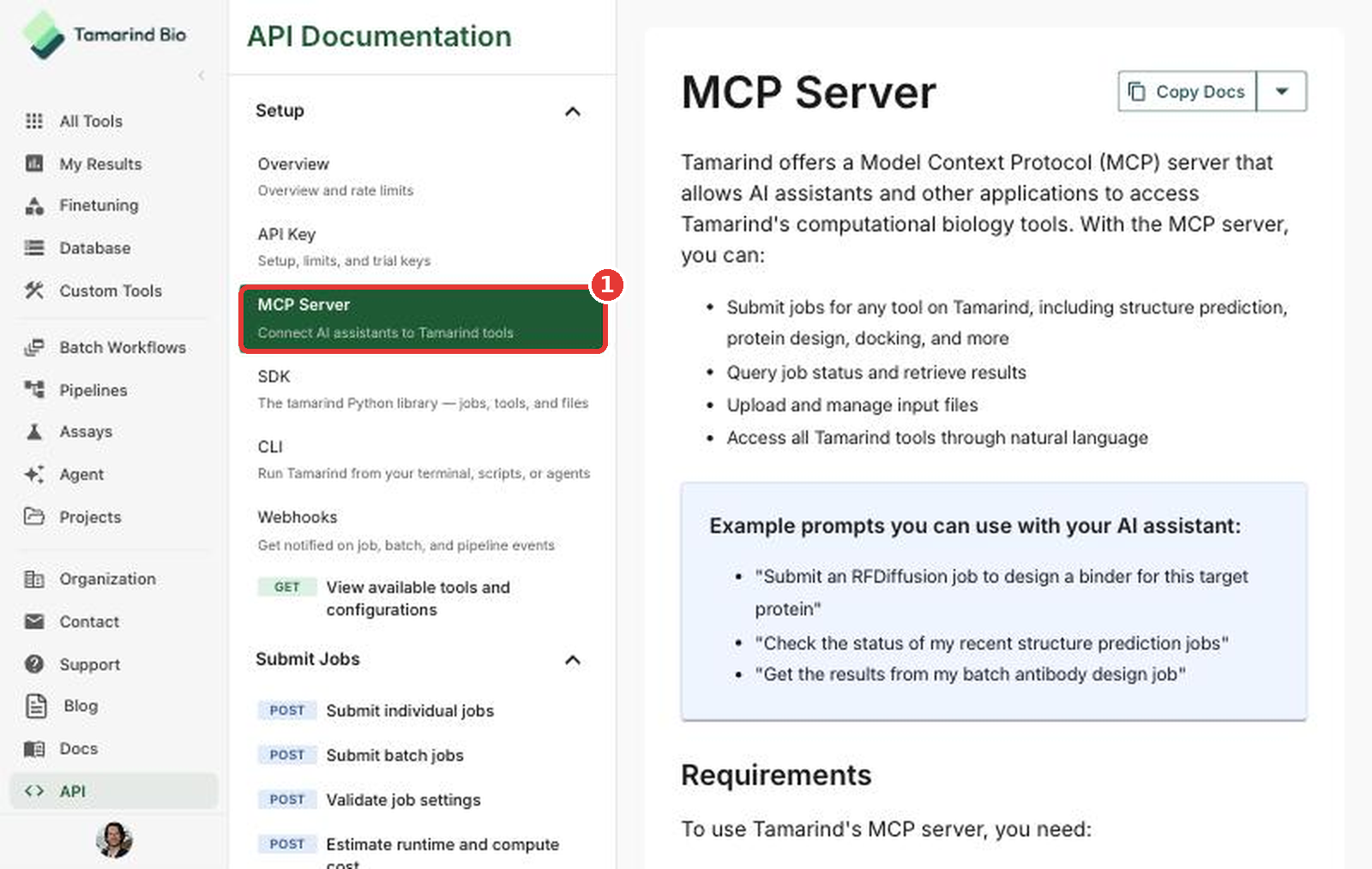 MCP Server page