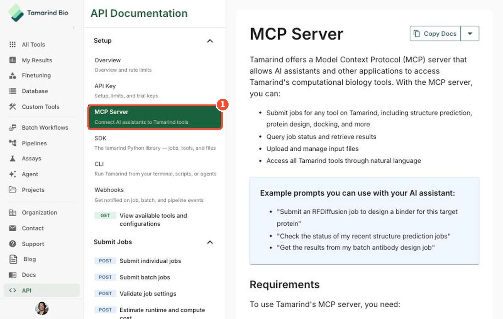 MCP Server page