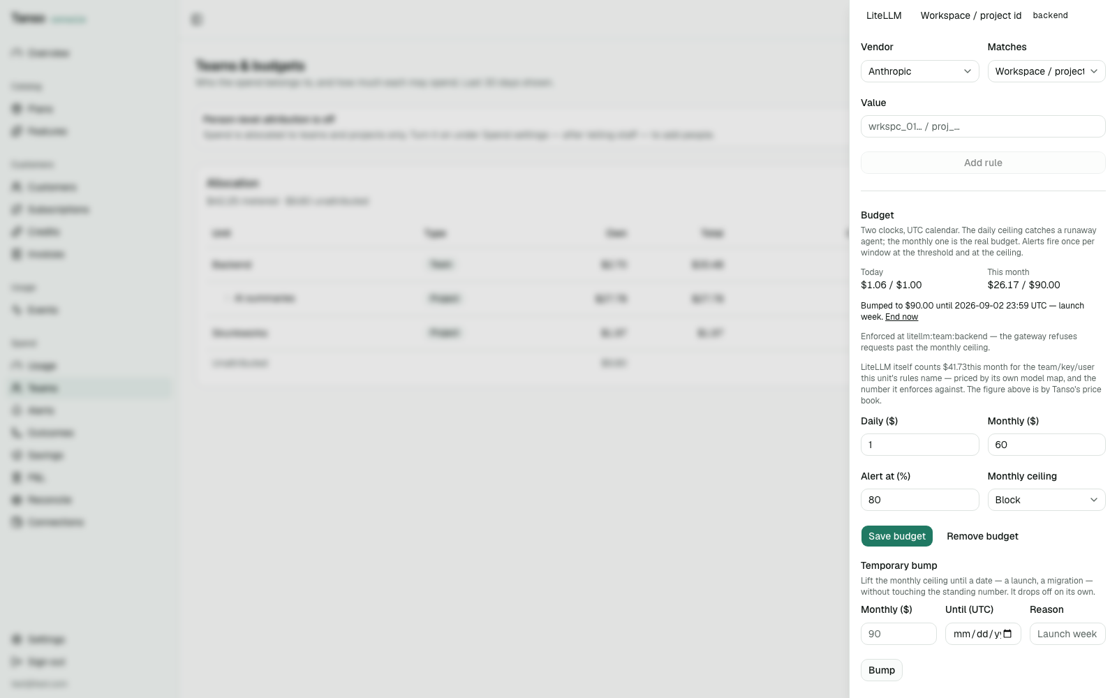 Budget card: enforced at litellm:team:backend, bumped, LiteLLM's own count beside Tanso's