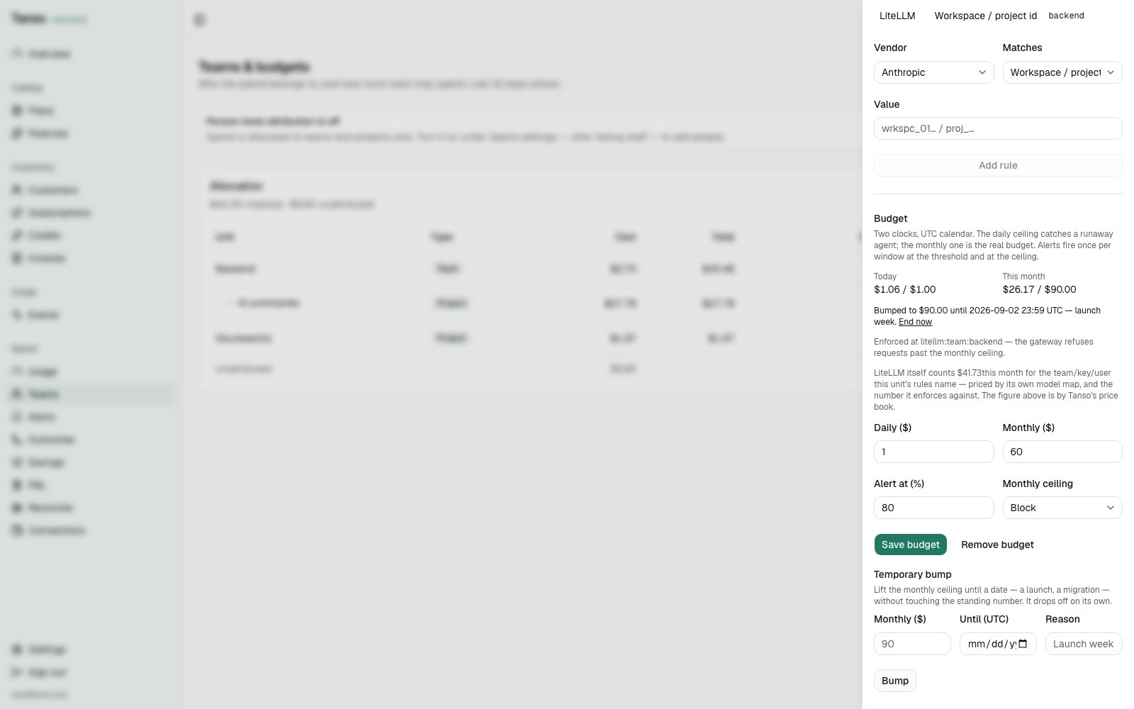 Budget card: enforced at litellm:team:backend, bumped, LiteLLM's own count beside Tanso's